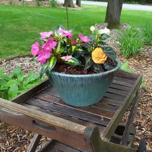 Meet your Posher, Cheryl